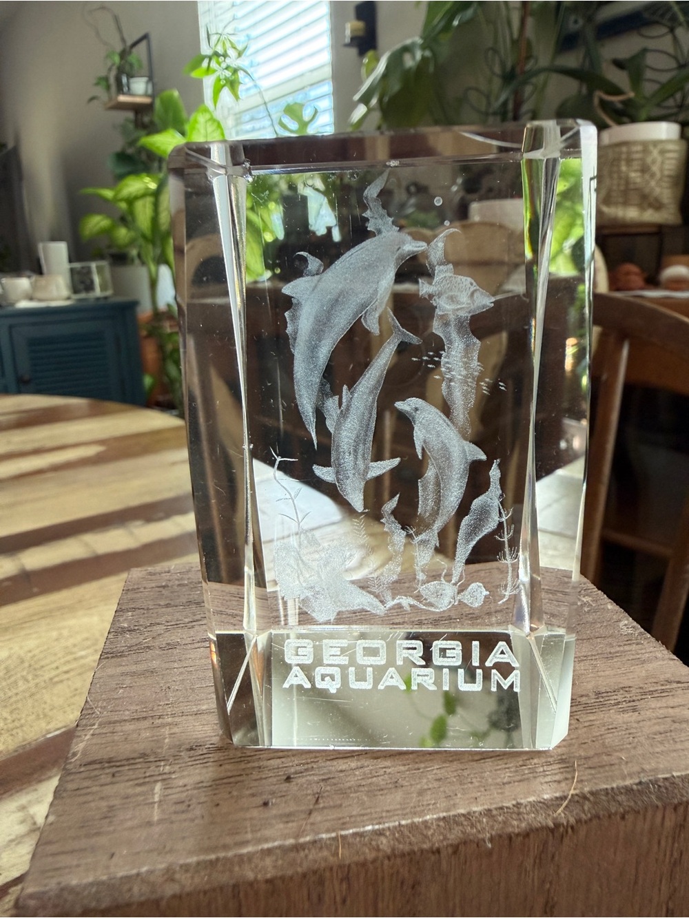 Georgia Aquarium 3D etched Crystal glass Dolphin Block Statue